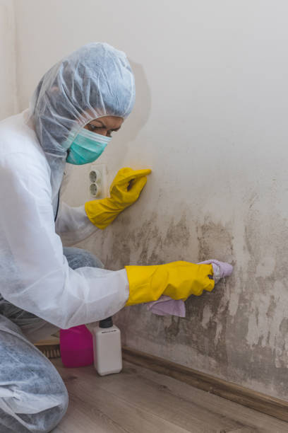 Best Airborne Mold Testing  in , WA