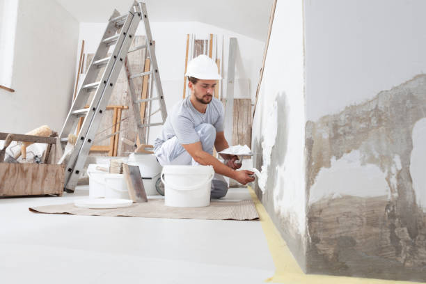 Best Crawl Space Mold Remediation  in , WA