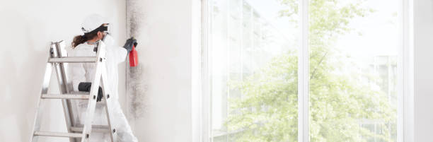 Best Mold Documentation for Insurance Claims  in , WA